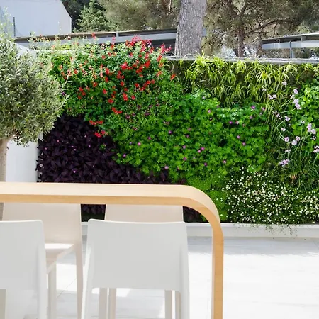 Anfora Ibiza Hotel Es Cana